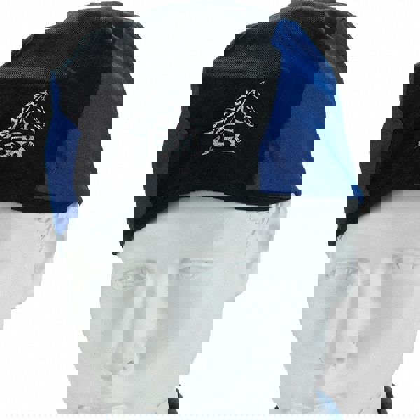 Beanie Hat: Cotton, Black & Blue, Size Universal, Solid